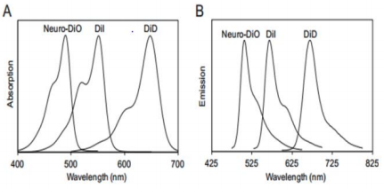 5f2123c2b599d.png image.png