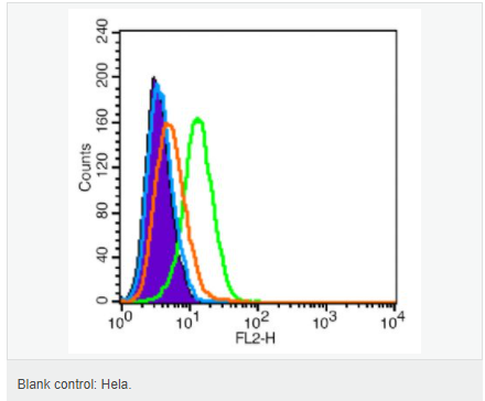 6051c07211f4d.png image.png