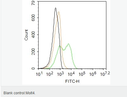 60544728d9404.png image.png