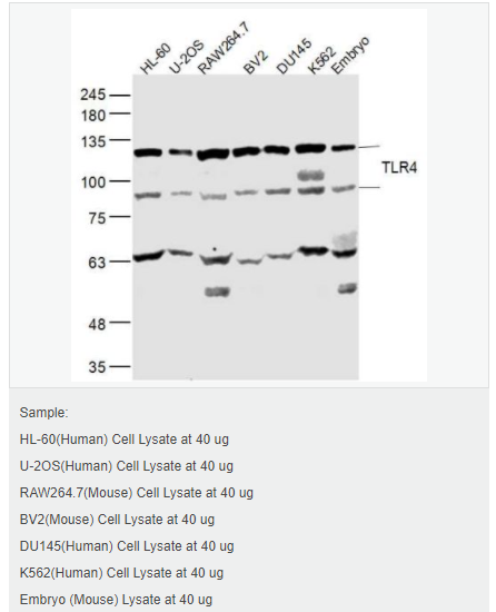 6058045b8d15b.png image.png