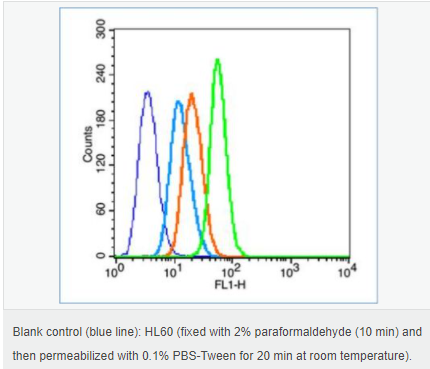 60594c4a8a73f.png image.png