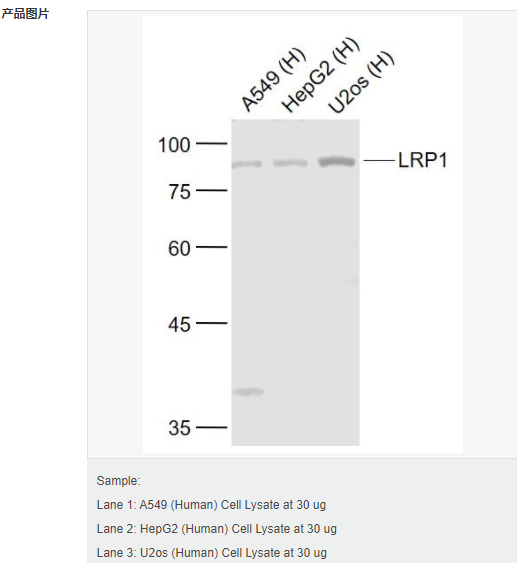 605d8658a7235.png image.png