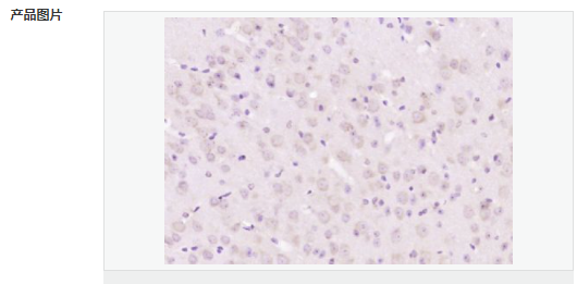 605d87ed4948b.png image.png