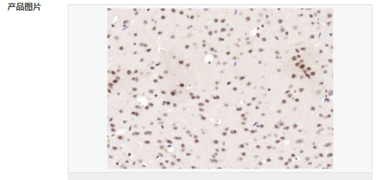 60657177e9d27.png image.png