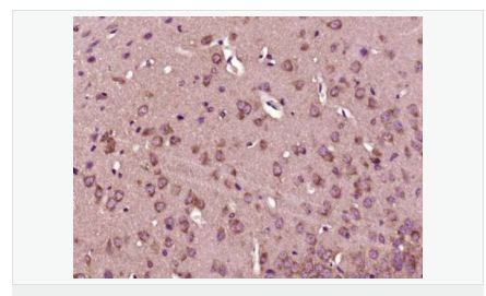 606bb7e53ed59.png image.png