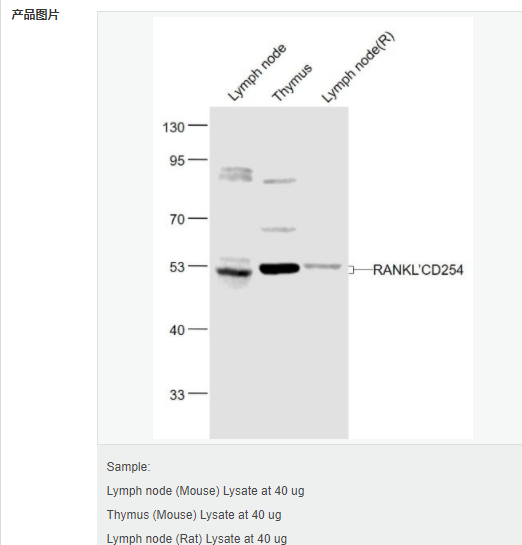 60764ac8e8423.png image.png