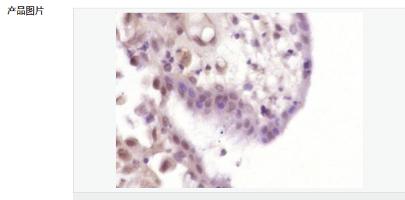 607793d87f568.png image.png