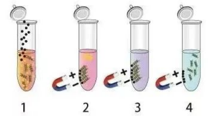 64817a15ebbef.png image.png