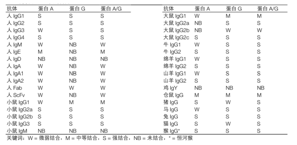 64817a6464ad0.png image.png