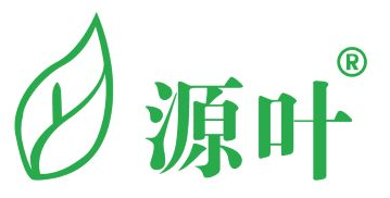 65fd3402f1bd2.png 65fd3402f1bd2.png