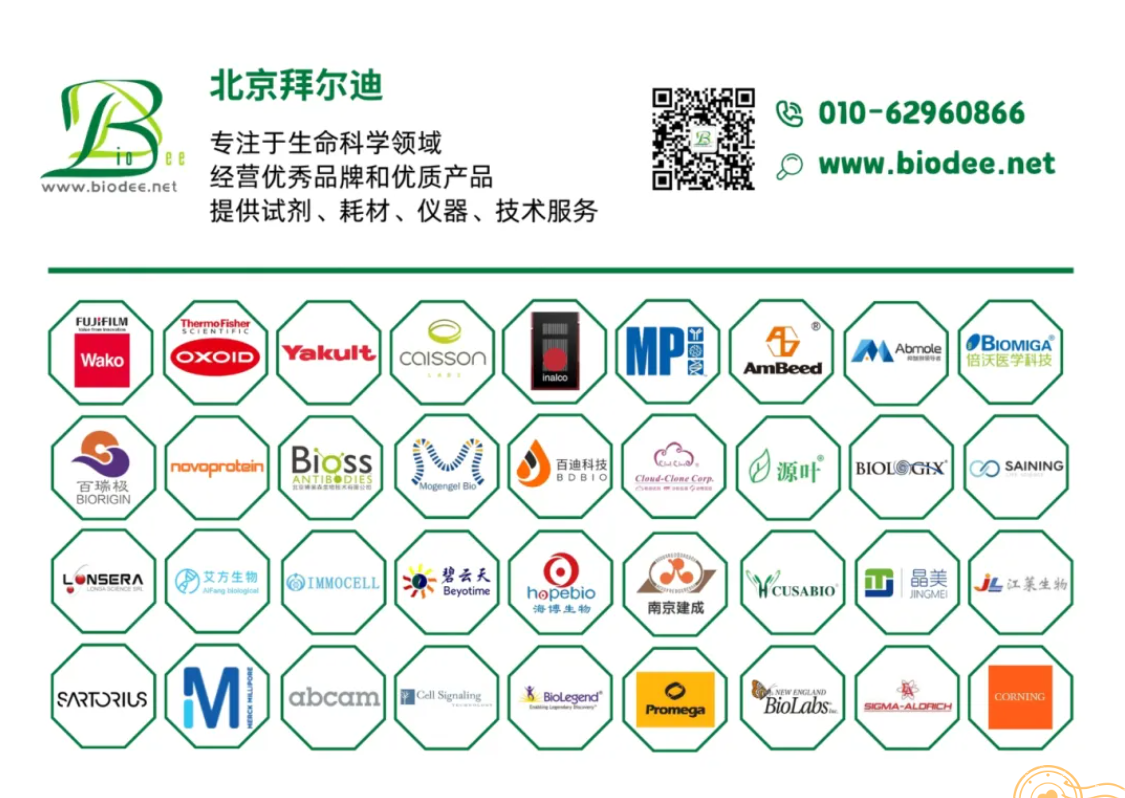 67c654f675638.png image.png